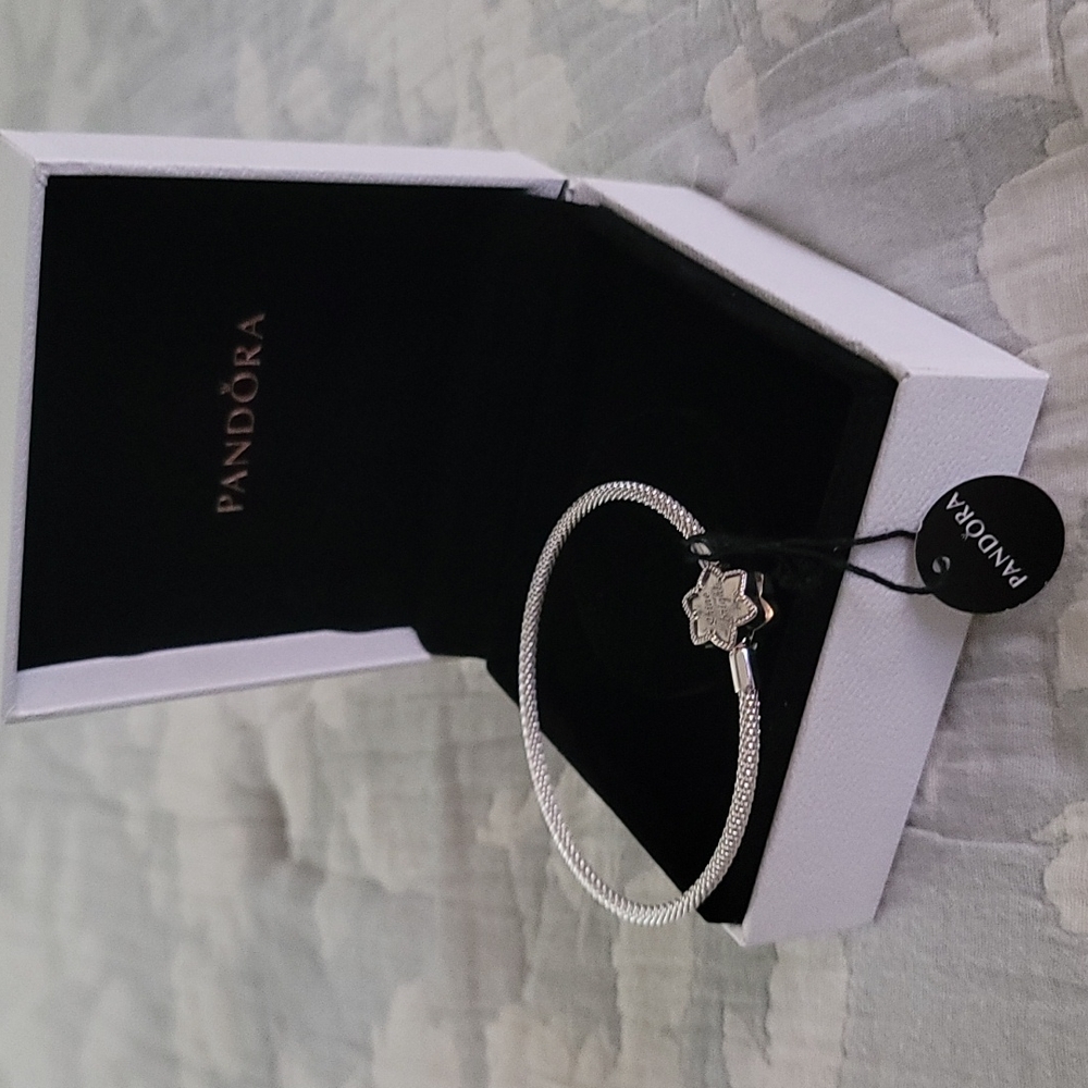 Pandora Wniter Special Edition bracelet